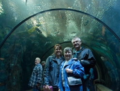 aquarium_group_1.jpg